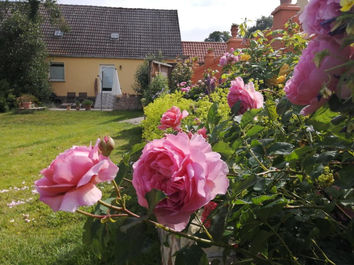 Strandhaus Mariflor Brook Eksteriør bilde