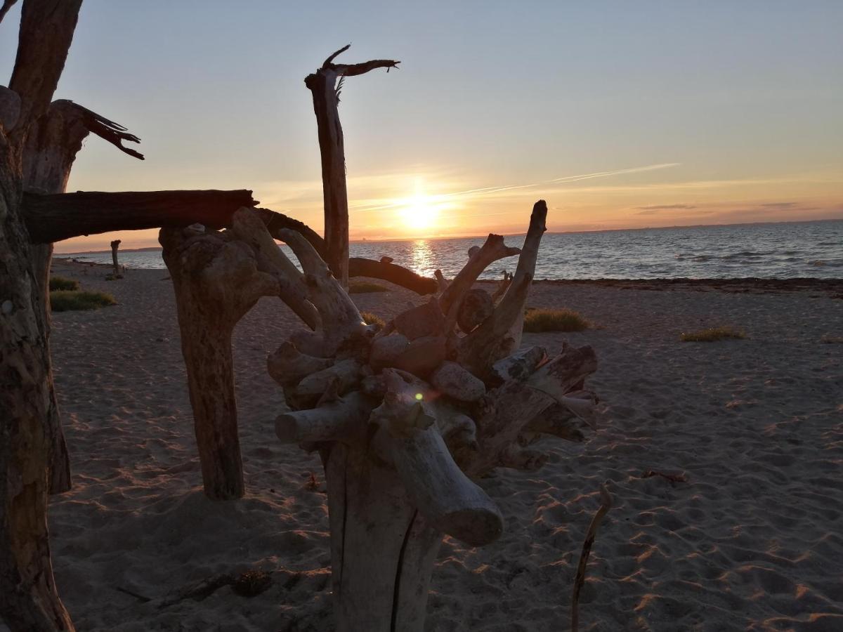 Strandhaus Mariflor Brook Eksteriør bilde